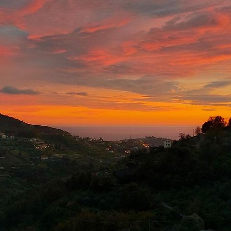 Il Nido Del Viaggiatore Vallebona Bagian luar foto