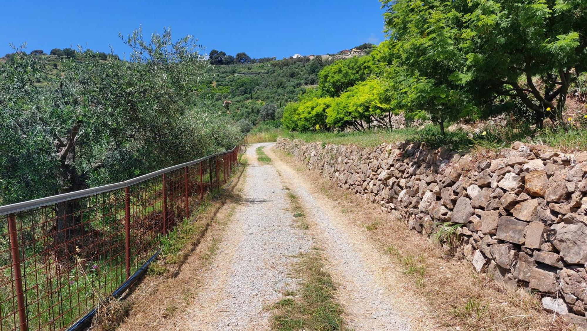 Il Nido Del Viaggiatore Vallebona Bagian luar foto