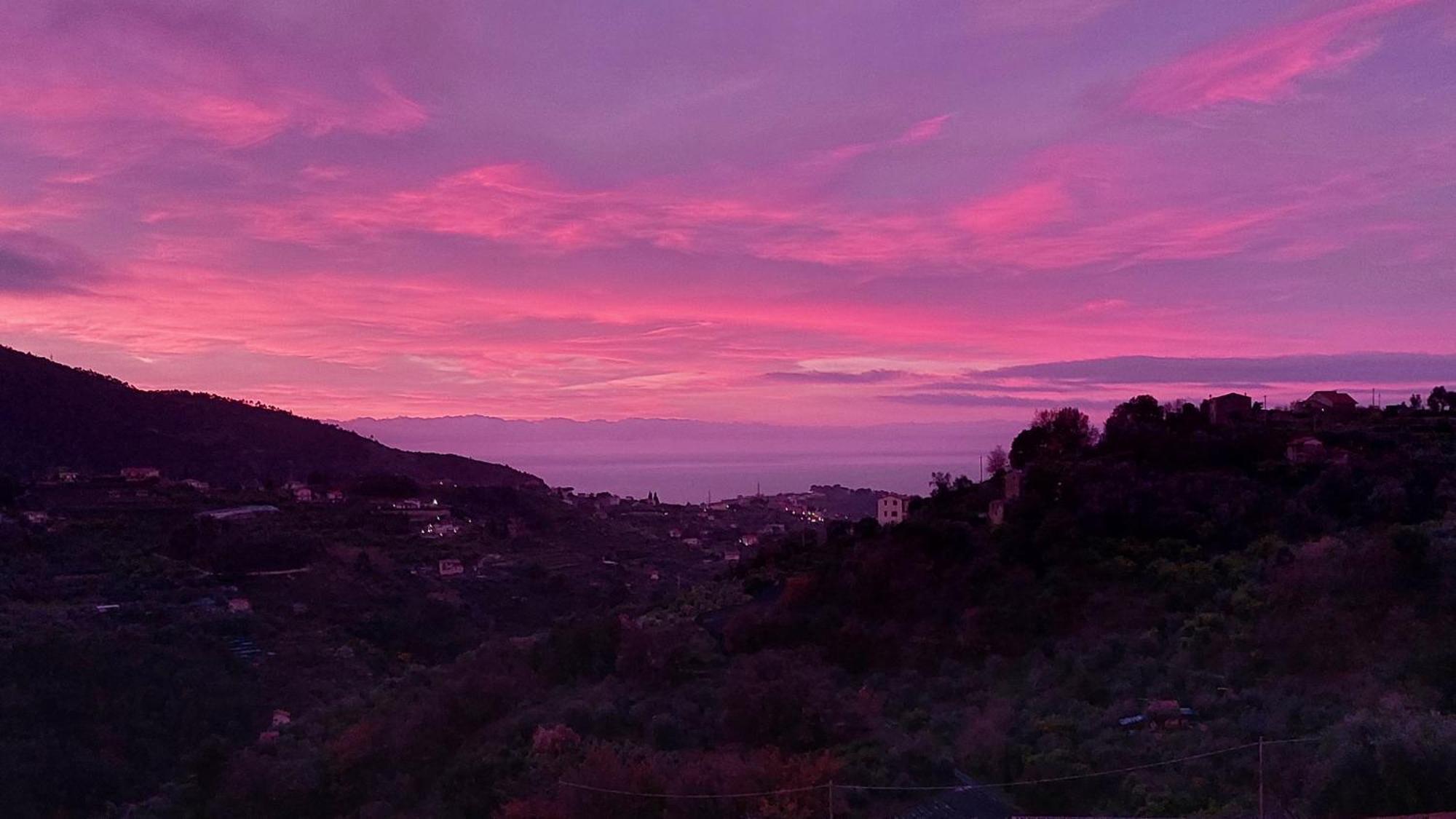 Il Nido Del Viaggiatore Vallebona Bagian luar foto