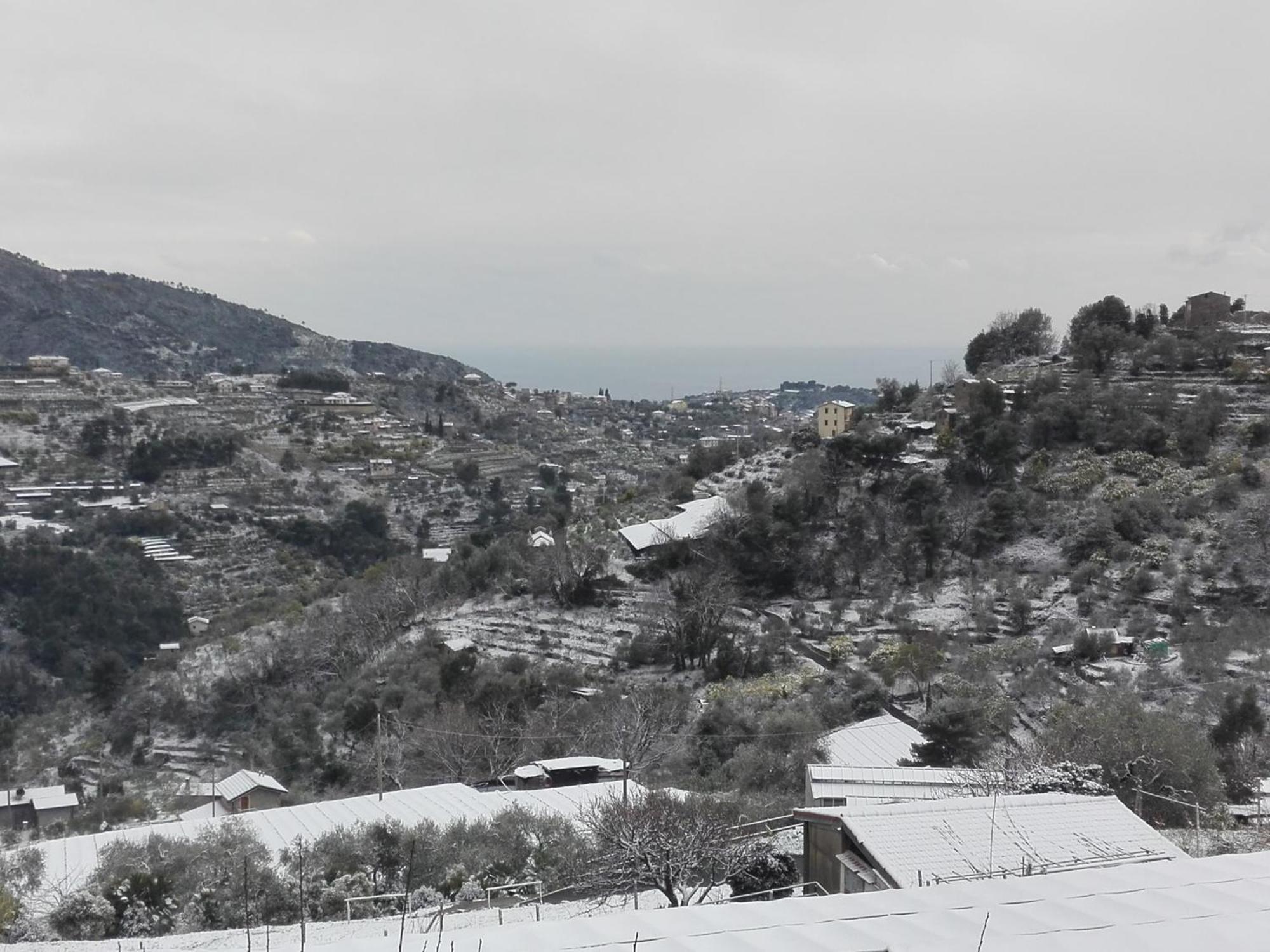 Il Nido Del Viaggiatore Vallebona Bagian luar foto